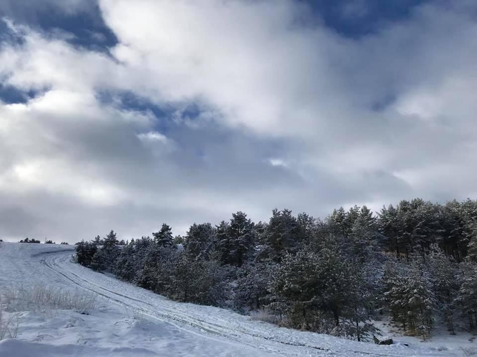 Apartman Ledjanac Daire Zlatibor Dış mekan fotoğraf